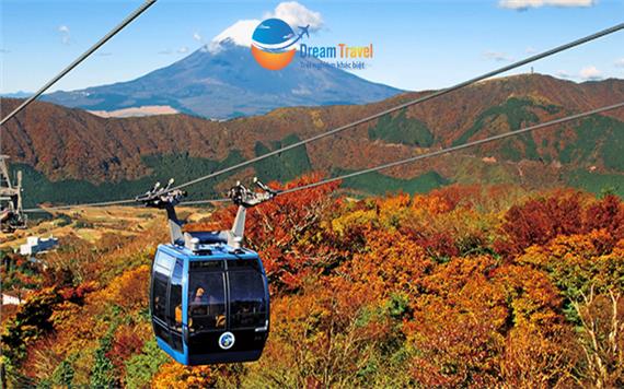 Tour Nhật Bản 2025: Cáp Treo Hakone Ngắm Mùa Thu